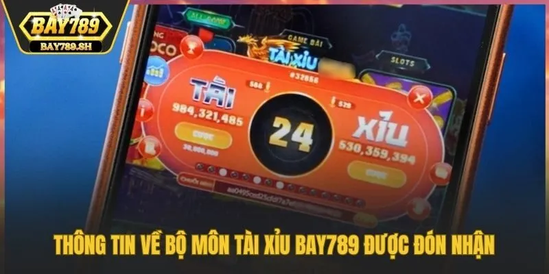 Thông tin về bộ môn tài xỉu Bay789 được đón nhận